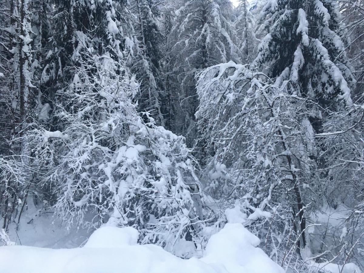 Appart Oetztalpin Längenfeld Exteriér fotografie