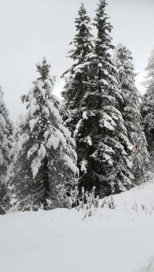 Appart Oetztalpin Längenfeld Exteriér fotografie